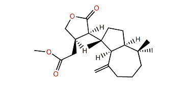 Cheloviolene D